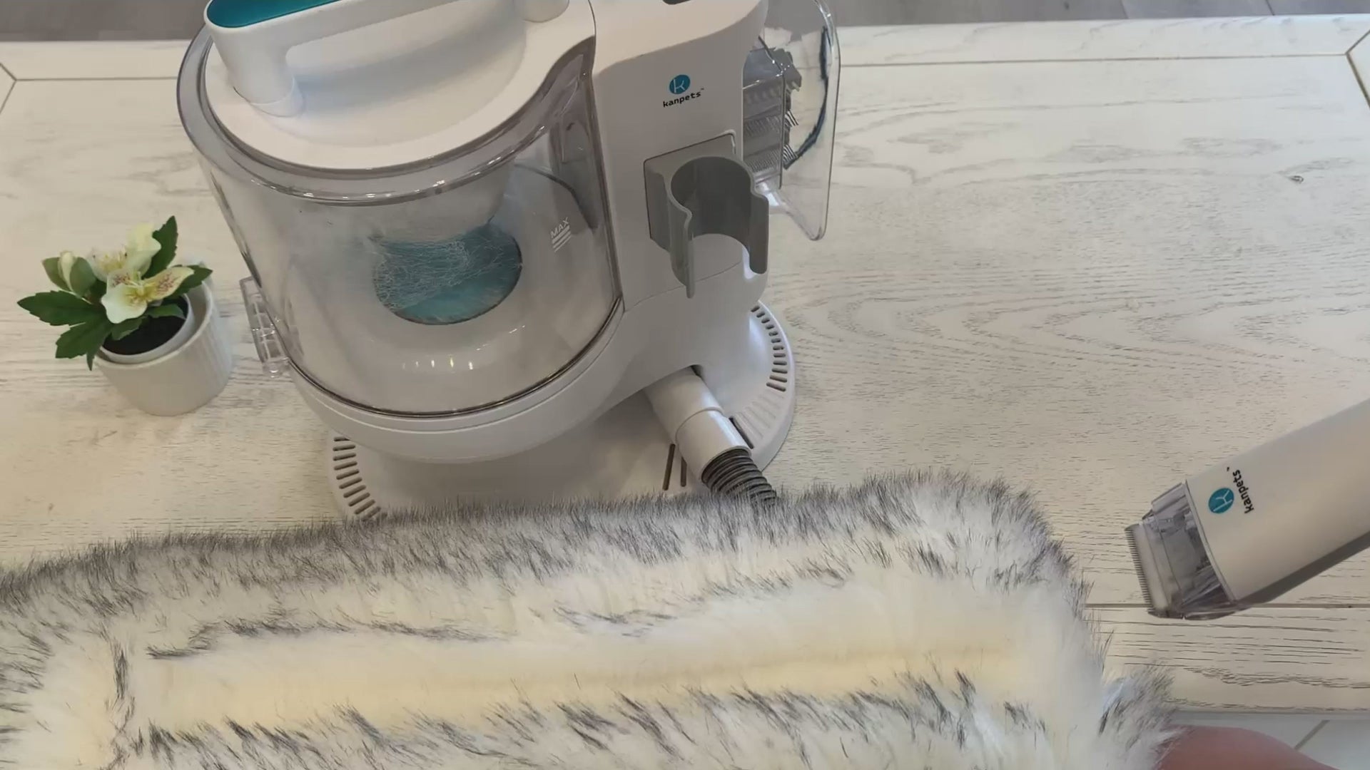 KANPETS Dog Vacuum for Shedding Grooming with Max 3.4L Dust Bin